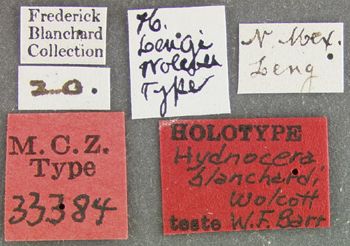 Media type: image;   Entomology 33384 Aspect: labels